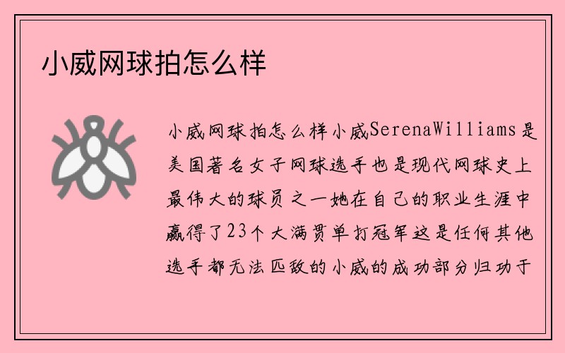 小威网球拍怎么样