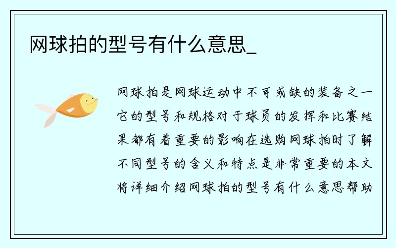 网球拍的型号有什么意思_