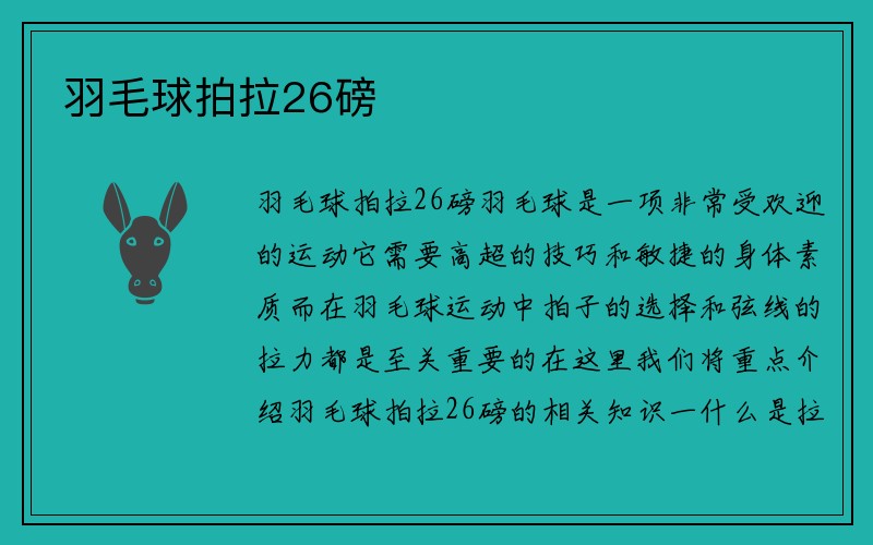 羽毛球拍拉26磅