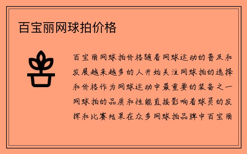 百宝丽网球拍价格