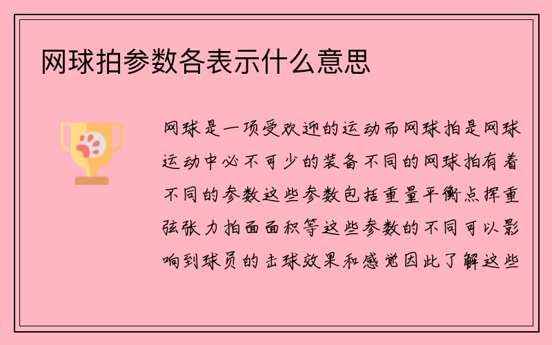 网球拍参数各表示什么意思